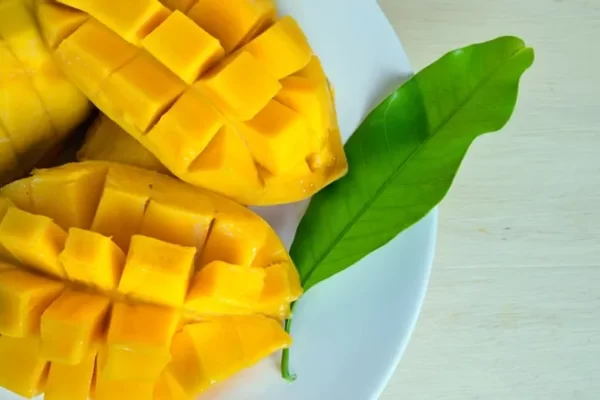 Mangoes are delicious and useful both ripe and raw.